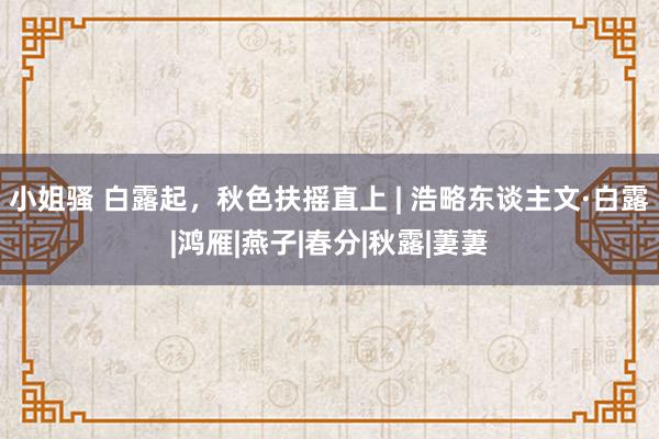 小姐骚 白露起，秋色扶摇直上 | 浩略东谈主文·白露|鸿雁|燕子|春分|秋露|萋萋
