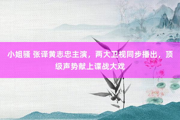 小姐骚 张译黄志忠主演，两大卫视同步播出，顶级声势献上谍战大戏