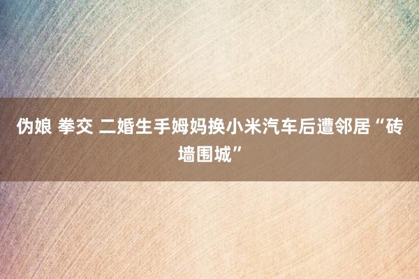 伪娘 拳交 二婚生手姆妈换小米汽车后遭邻居“砖墙围城”